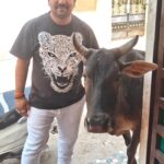 पशुओं की सही समय पर ईलाज के लिए रेस्क्यू वाहन की मांग