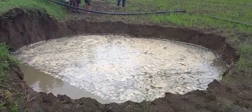 image-2025-07-29T114812.443-1024x457