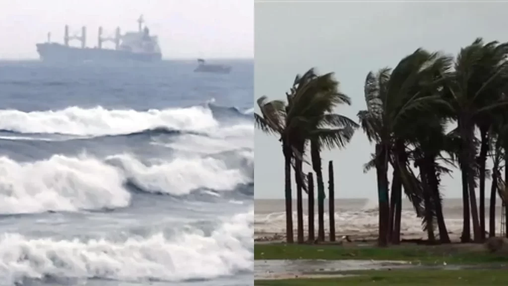 India-(48)-1761637614729