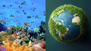 earths-first-climate-tipping-point-reached-coral-reefs-now-at-risk-of-collapse
