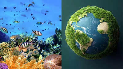 earths-first-climate-tipping-point-reached-coral-reefs-now-at-risk-of-collapse