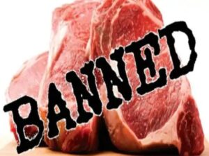 image-2024-10-31t134105550_1730362269