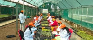 1766563820_dda25be2566fb270a6ca