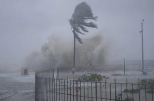 2025_11image_23_59_421732343alert