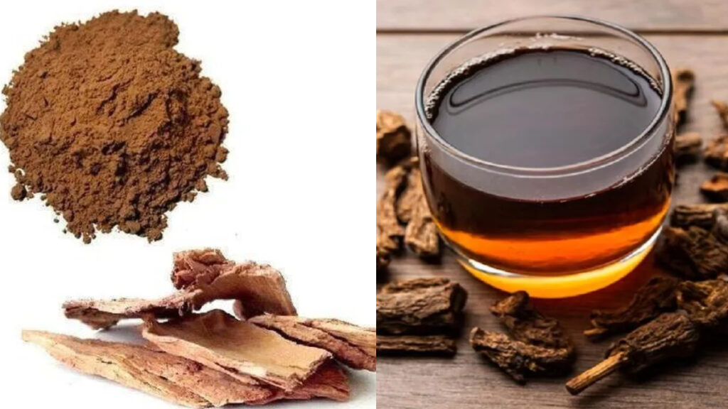 arjun-chhaal-uses-09-01-2025-1736388926