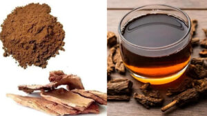 arjun-chhaal-uses-09-01-2025-1736388926