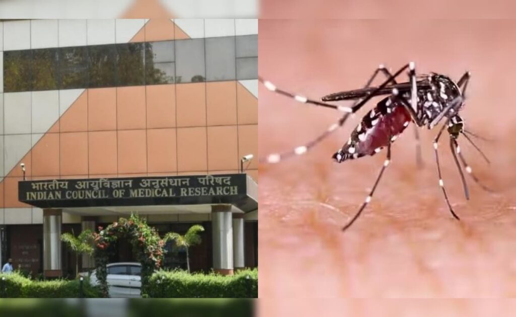 lldn90q4_icmr_625x300_25_December_25