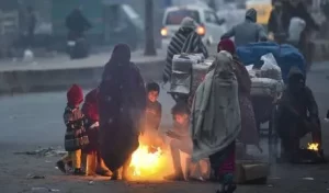 winter-3_V_jpg--442x260-4g