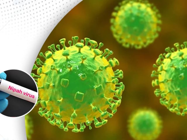 nipah-virus-2026-01-46352aabef167f2014fc962b5ee15896