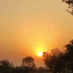 छत्तीसगढ़ में गर्मी का असर तेज, राजनांदगांव में 38°C पहुंचा पारा, अंबिकापुर रहा सबसे ठंडा…