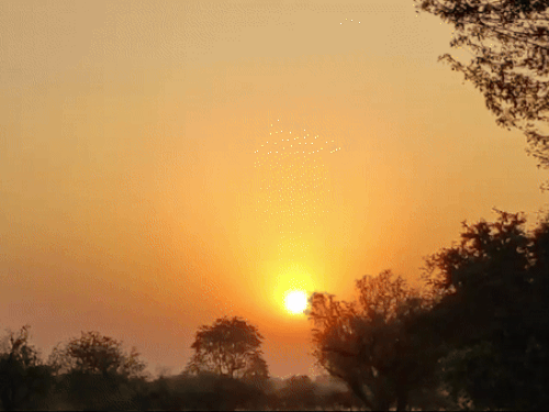 ezgif-7-f42f3d3558171176575517606701101764297914-3_1772247695