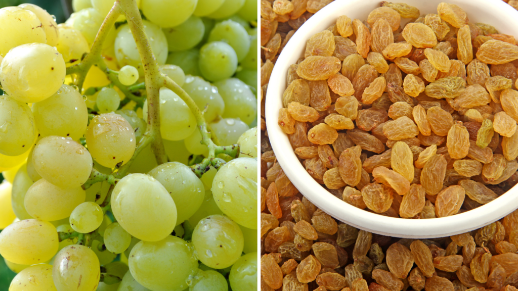 how-to-make-kishmish-at-home