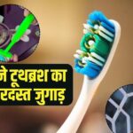 Old Toothbrush Reuse Tips: कबाड़ नहीं खजाना है पुराना टूथब्रश, ये 7 आसान हैक्स बचाएंगे आपके हजारों रुपये! जानें रीयूज करने के आसान तरीके…