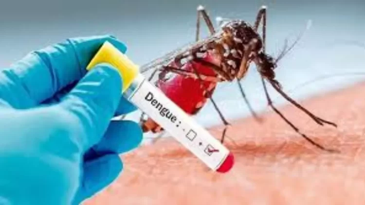 09_07_2025-dengue-malaria_23979809