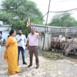 फुंडहर गौठान में क्षमता से दोगुने से अधिक गौवंश मिलने पर भड़कीं महापौर मीनल चौबे…