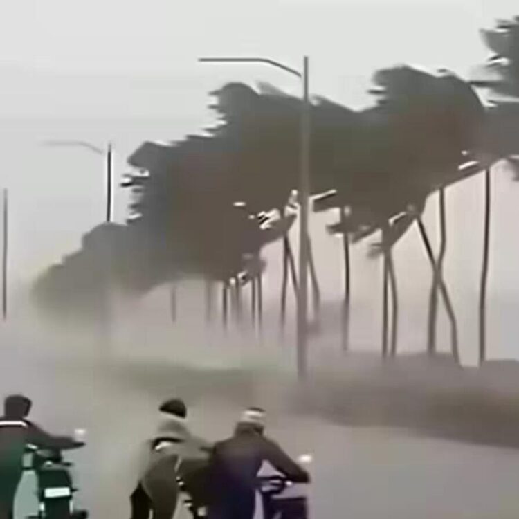 आज का मौसम 1 सितंबर: 12 घंटे के भीतर 20 राज्यों में मूसलाधार बारिश का अलर्ट, 70 की स्पीड से हवा; IMD का अपडेट