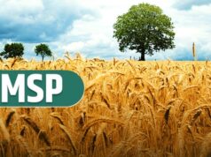 आज बड़ा फैसला… सरकार दे सकती है MSP Hike का तोहफा, लिस्ट में छह फसलें…
