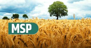 आज बड़ा फैसला… सरकार दे सकती है MSP Hike का तोहफा, लिस्ट में छह फसलें…