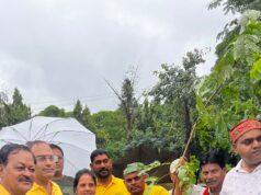 रायपुर नगर निगम पर्यावरण एवं उद्यानिकी विभाग और सभी 10 जोन के विभिन्न निर्धारित स्थानो पर लगभग 3500 से अधिक पौधो का सुरक्षित स्थानो पर रोपण कर दिया गया स्वच्छ पर्यावरण का जन जन को सकारात्मक संदेश…