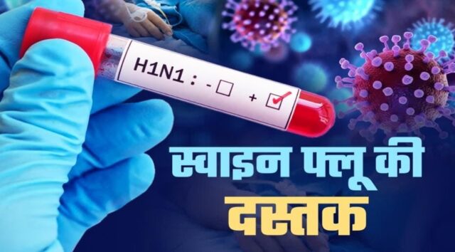 ujajana-ma-savaina-fal-ka-bugdhha-khatara_6728896c1bee11427c3ae230210047f2