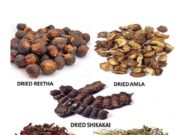 Hair Care Tips: बाल झड़ने और रूखेपन से हैं परेशान? आंवला-भृंगराज समेत ये 5 चीजें आएंगी काम…