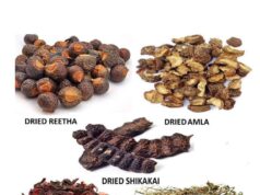 Hair Care Tips: बाल झड़ने और रूखेपन से हैं परेशान? आंवला-भृंगराज समेत ये 5 चीजें आएंगी काम…