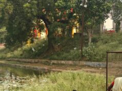 नगर निगम जोन 8 स्वास्थ्य विभाग द्वारा हीरापुर छठ तालाब में सफाई अभियान का जोन 8 जोन कमिश्नर ने किया प्रत्यक्ष निरीक्षण…