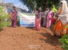 गरियाबंद में पोषण वाटिका तैयार करने पर एक दिवसीय प्रशिक्षण आयोजित…