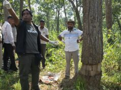 उदंती-सीतानदी टाइगर रिजर्व में 3,500 वृक्षों को बचाने मैदान में उतरे ‘ट्री डॉक्टर’…
