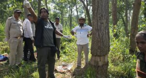 उदंती-सीतानदी टाइगर रिजर्व में 3,500 वृक्षों को बचाने मैदान में उतरे ‘ट्री डॉक्टर’…